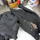 개미세탁 이미지