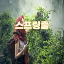씨티컴퍼니 스프링줄 카라비너의 매력
