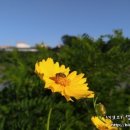 충청풋살공원 네이버블로그