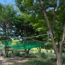 스노우라인캠핑빌리지 | 예산 스노우라인 캠핑빌리지 C4, C5 이용 후기, 수영장 있는 캠핑장으로 추천