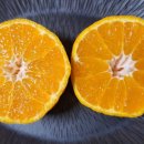 순옥농장 이미지