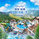 비고리조트 16 | 평창 용평 워터파크 피크아일랜드 2026 이용후기 : 할인 꿀팁부터 운영시간 준비물까지 아이와 강원도...