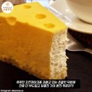 라두스 이미지