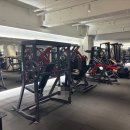 레디 바디 이미지