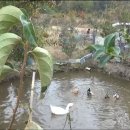 홍구농장 이미지