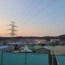 현 실내낚시터