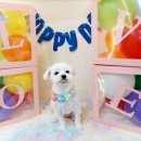 아로마 멍# 이미지