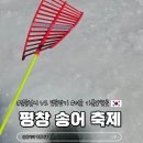 오대천낚시 | 겨울 가볼만한곳 평창송어축제! 맨손잡기 vs 얼음낚시 비교 후기