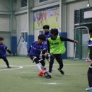 에코실외구장 이미지