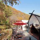 홍천메기매운탕 이미지