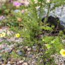 조광농장 이미지