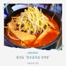 지에스25 수원성대점 | [수원 성대 술집] 다양한 주류가 있는 망포골목집 성대점 국물닭발·고추튀김 솔직후기