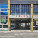 마산 장어 맛집 어시장 김인철동해장어막회, 신선해서 좋았던 바다장어 곰장어구이