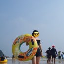 다포회타운