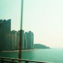 대숲여행 이미지