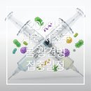 해뜨는 동물병원 해질녘책방 | 서초구 2026년 광견병 예방접종 안내