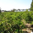 신흥1리마을회관 이미지