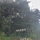 이브경양식 | [당진 왜목경양식 / 내돈내산/ 치즈돈까스 후기 / 왜목마을 드라 이브 후 식사 ]