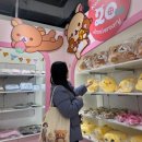 홍대 AK플라자 코리락쿠마 20주년 팝업스토어 간 김에 가챠샵 투어 한 덕후의 일기 ft. 네오 리락쿠지 B상