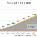 리튬이온전지 시장 2030년 3000GWh 돌파 전망,전기차 외 재생에너지 태양광 연계 ESS 확장 예측,지난해 198GWh 대비 약17배 폭발적 성장,SNE리서치 최근 보고서 이미지