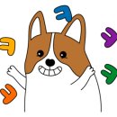 아라애견 이미지