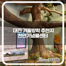 한밭마을 | 대전 12월 실내 가볼 만한 곳 한밭수목원 내 천연기념물 센터 입장료 이용 후기