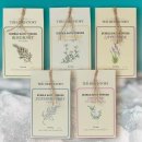 허브스토리 이미지