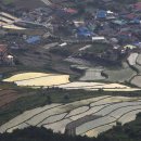 미륵산전망대 이미지