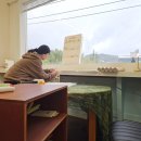 사사3 | 2026년 상반기 그림작가 두렁앤팜 플리마켓 참가 후기 : 썬데이울산마켓 / 도담마켓 / 사사마켓(사사소플)