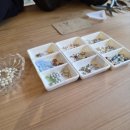 부산출입국외국인청 개방화장실 | 1박2일 대마도 히타카츠 여행 후기🏝