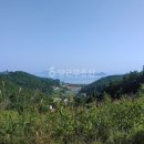 꾸지뽕흑염소농장 이미지