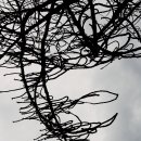 유엔기념공원주차장 이미지