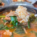 청솔흑염소