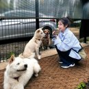 제주산책 | 제주 유기견 봉사활동 제주나우 산책봉사 후기