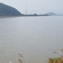 펜스