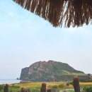 해일리 풀앤스파 | 프라이빗 자쿠지와 성산일출봉 뷰! 해일리 풀앤스파 호텔 후기