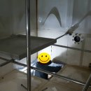 대구청림초등학교 이미지