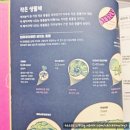 꿀꿀이왕국 | 브리태니커 인포그래픽 백과 : 동물의 왕국 체험단 당첨 후기