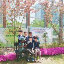 아리솔유치원 이미지