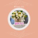 미정이네꽃집 이미지