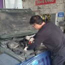 성운카마스타 이미지