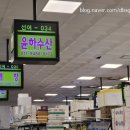 윤하수산 네이버블로그
