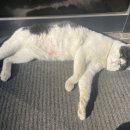 서화터미널 이미지