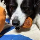 신우덴탈 이미지