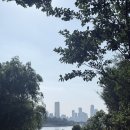 헬카페 - 용산구 보광로 76 | 동부이촌동, 이촌역 근처 분위기 좋은 헬카페 스피리터스 후기