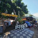 에이피젠 이미지