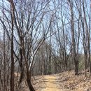 송천서원松泉書院 | 청주 목령산 - 오창호수공원 (2024.3.18)