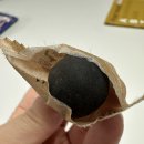 성누가건강기능식품 | 정관장 기다림 침향원 건강기능식품 선물 추천 후기