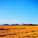 주홍목장 이미지