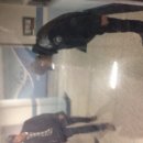 반도보라아파트 이미지